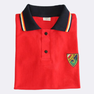 Polera_instituto_O'higgins