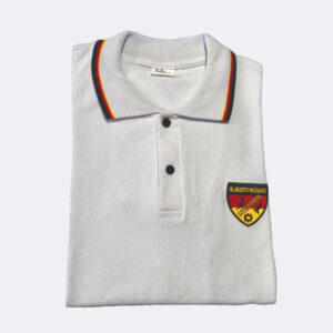 Polera Colegio Alberto Widmer Industrial