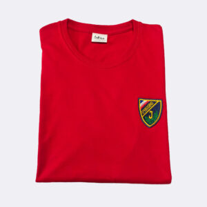 Polera Polo Instituto O'Higgins