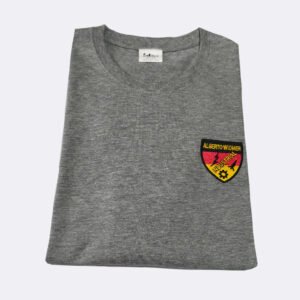 Polera Polo Colegio Alberto Widmer Industrial